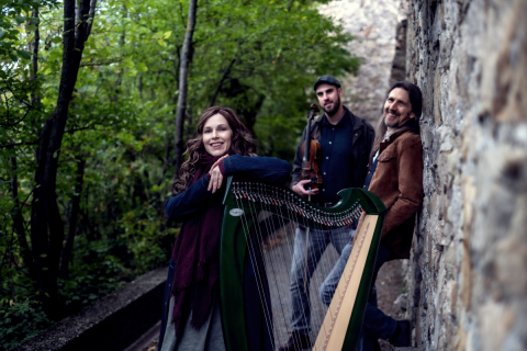 Bandfoto Irish Folk Band Spinning Wheel